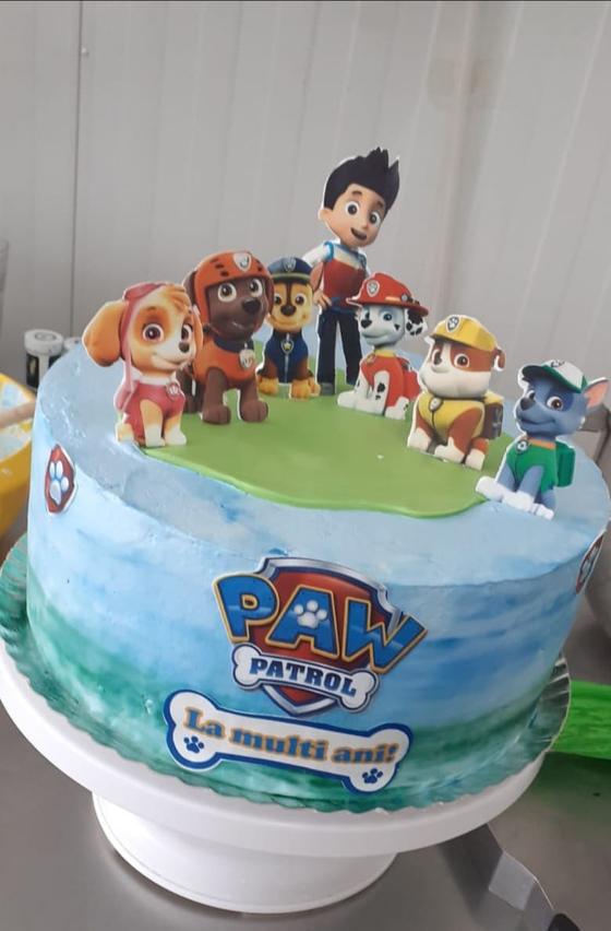 Tort Paw Patrol