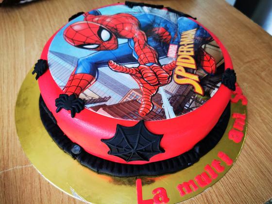 Tort Spider-Man